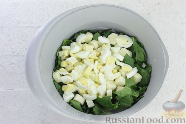 Салат со шпинатом, сыром сулугуни и яйцами